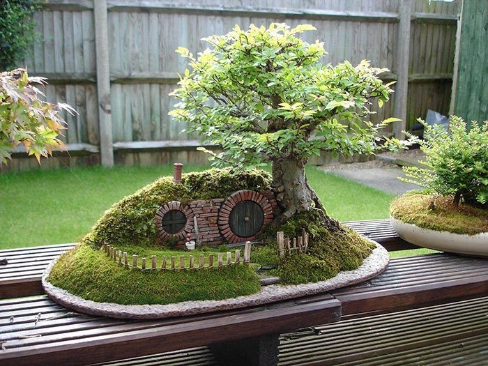 Bonsai ve Hobbit ev