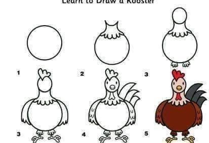 Tavuk nasıl çizir