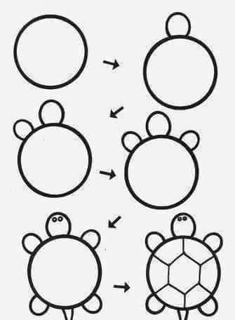 Kaplumbağa nasıl çizir