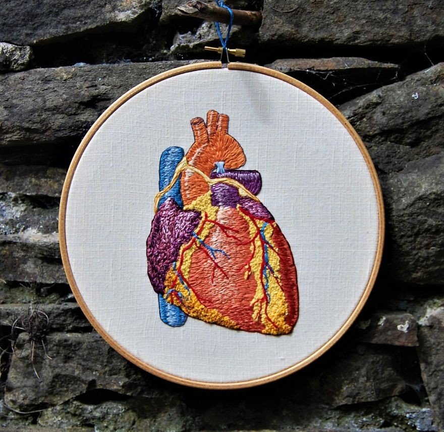 Kalbin anatomik nakışı