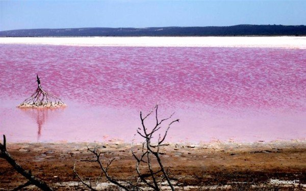 Pembe Göl, Avustralya