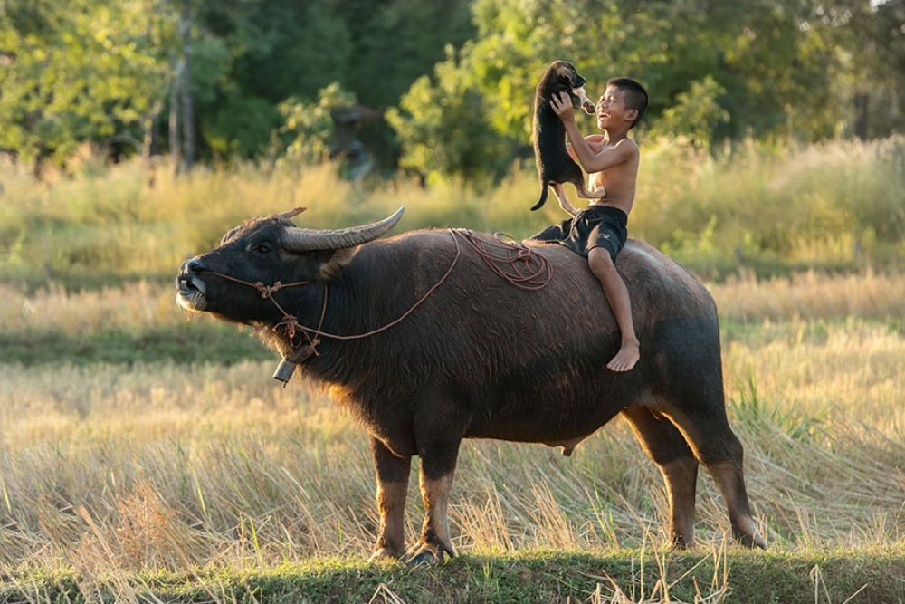 Tayland'da Mutlu Çocuk Resimleri