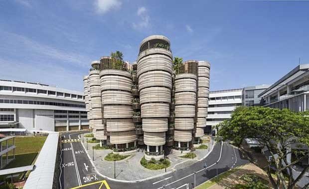 Singapur - Nanyang Teknoloji Üniversitesi