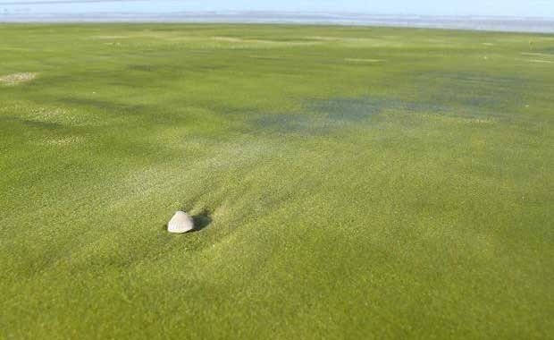 Green Sand In Kourou, Fransız Guyanası