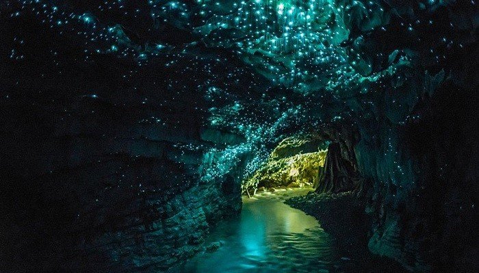 Yeni Zelanda - Glowworm Mağaraları
