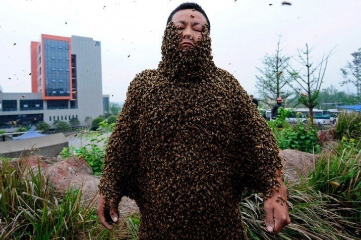 Vücutta en çok arı bulundurma rekoru