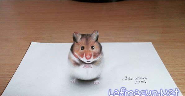 Üç Boyutlu Hamster Çizimi