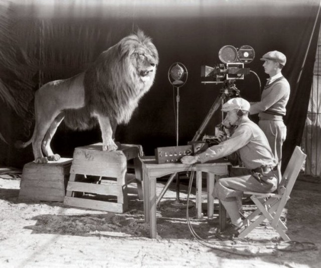 Sinemalarda görmeye alıştığımız MGM Aslanının gerçek çekimleri - 1928