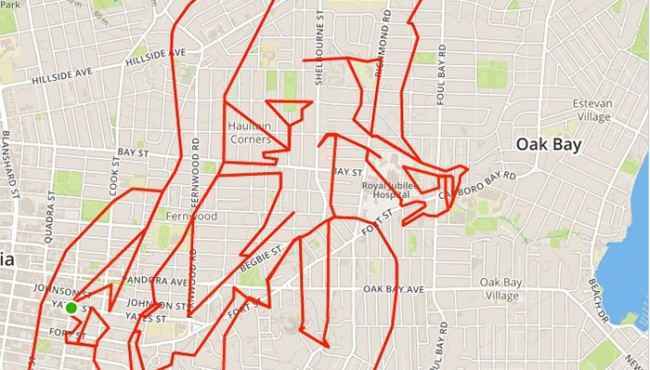 Günde 70 Km Bisiklet Sürerek Oluşturulmuş Dünyanın En Büyük Doodle'ları