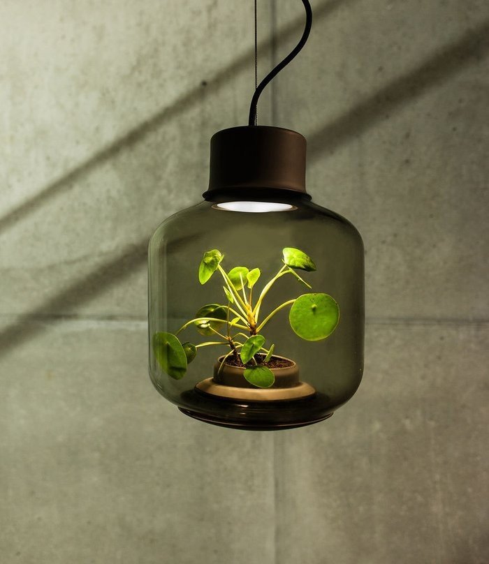 bitki yetiştirme lambaları
