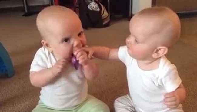 İkiz Bebeklerin Güldüren Emzik Kavgası