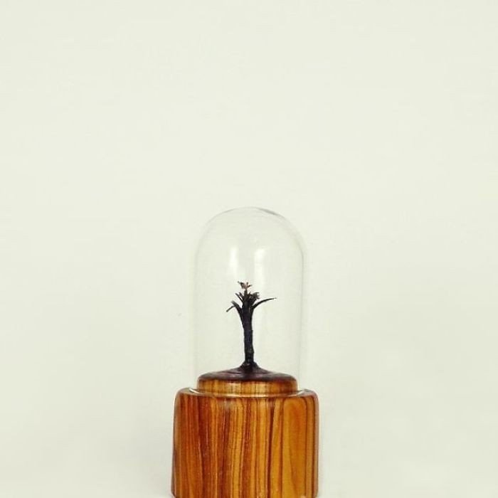 Kalem Ucundan Yapılmış Dünyanın En Küçük Minyatür Kuş Heykelleri