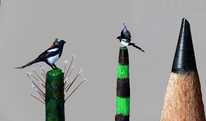 Minyatür Magpies ve yavrusu