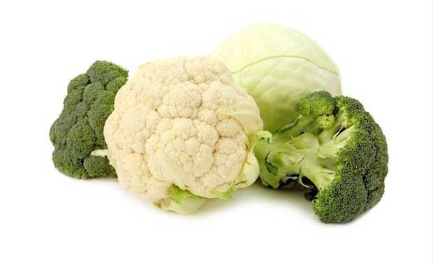 Brokoli - Karnabahar - Lahana