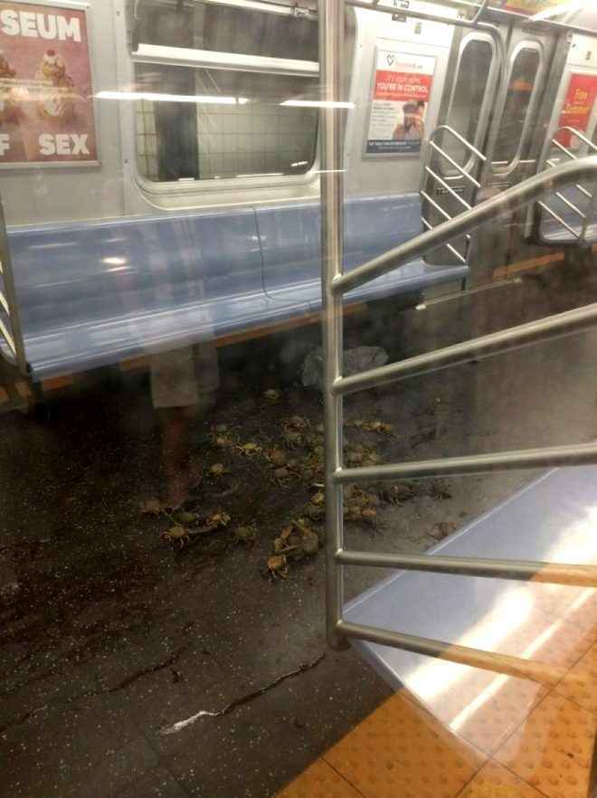 Metro İstasyonlarında Görülen İlginç Kareler