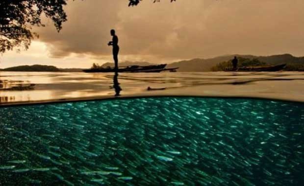 Su Altı Dünyasını Anlatan İlginç ve Güzel 13 Fotoğraf