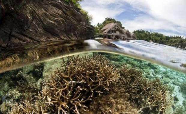 Su Altı Dünyasını Anlatan İlginç ve Güzel 13 Fotoğraf