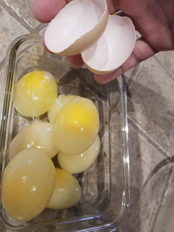 Dondurulmuş Tavuk Yumurtaları