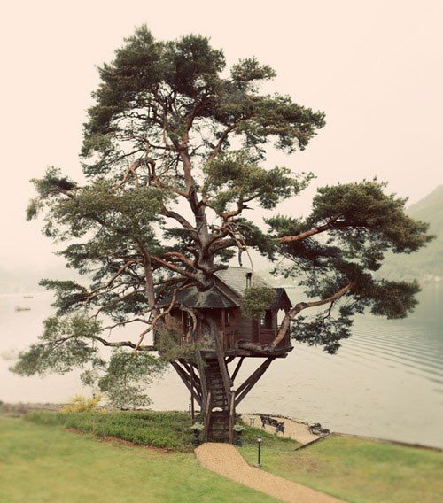 En Doğal Ağaç Ev