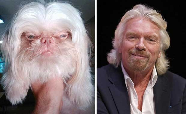 Richard Branson ve Aynısının Köpek Versiyonu