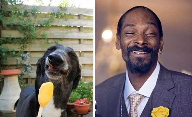 Snoop Dog ve Siyah Dog :)