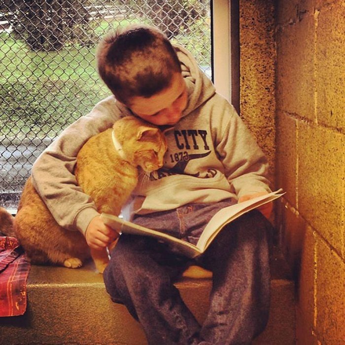 Her Gün Sıkılmadan Üşenmeden Kedisine Kitap Okuyan Koca Adam