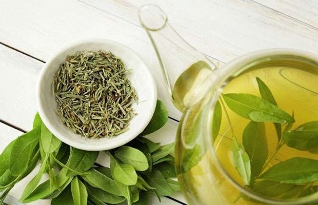 Yeşil Çay Çeşitli Sağlık Sorunlarından Korunmanız Sağlıyor