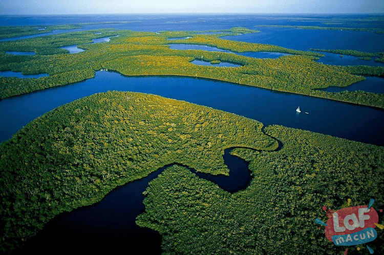 Everglades National Park, ABD
