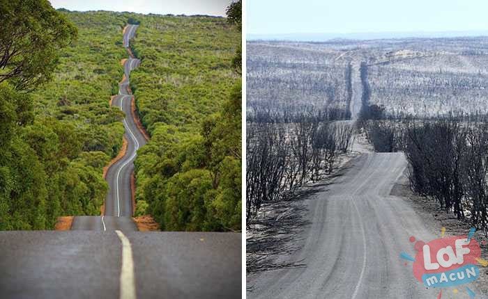 Avustralya yangını öncesi ve sonrası fotoğraflar
