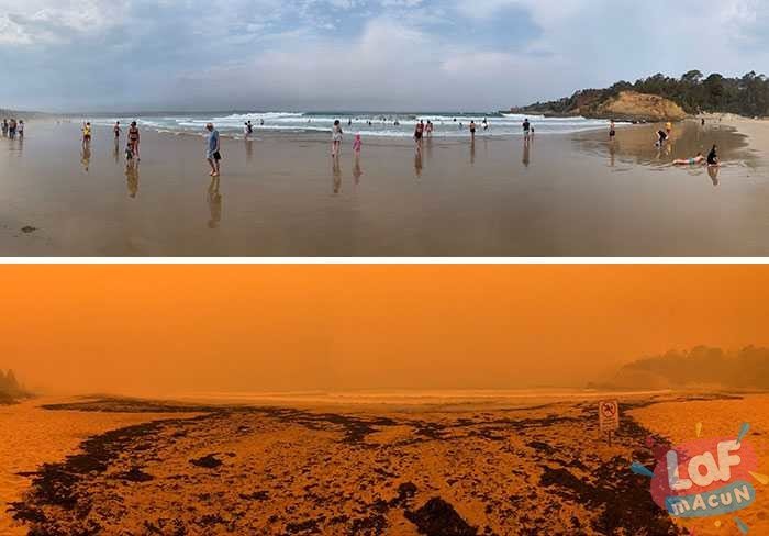 Avustralya yangını öncesi ve sonrası fotoğraflar