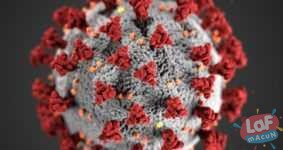 Koronavirüs Hakkında Ortaya Atılan Komplo Teorileri