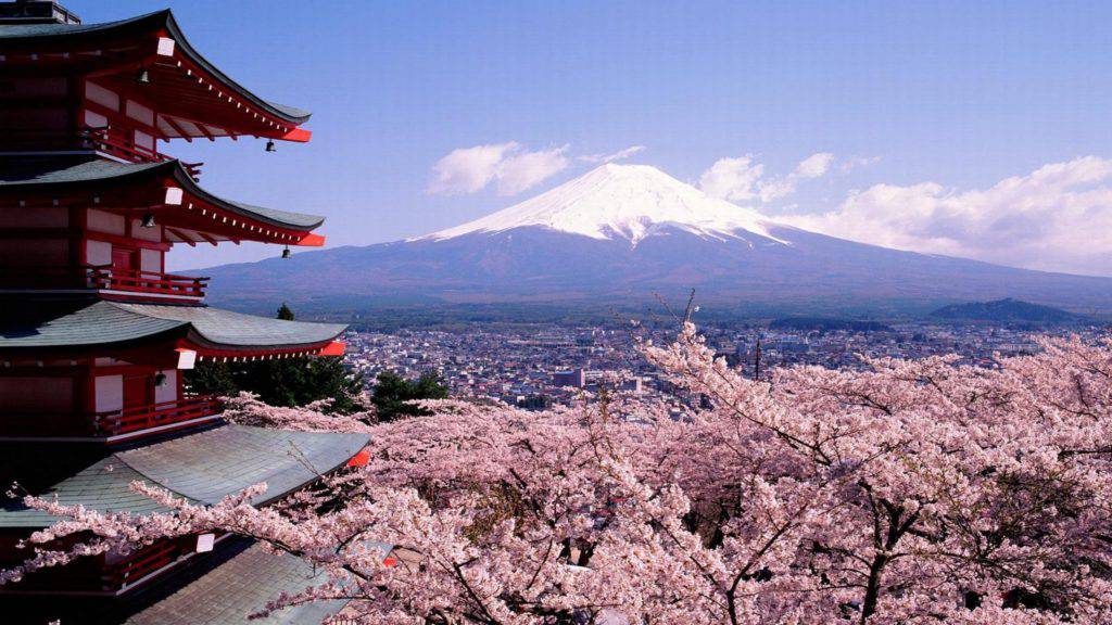 Japonya Fuji Dağına Bakış