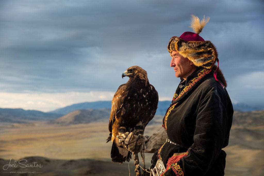 Moğolistan-Evcil Avcı Kartallar
