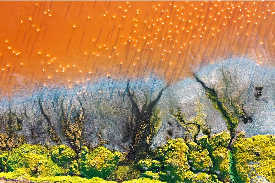 Doğa Sanatı, Finalist: Jes Stockhausen tarafından çekilen 'Renklerin Gölü' fotoğrafı