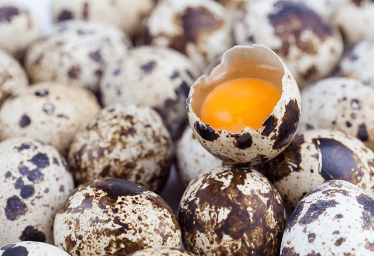 Bıldırcın Yumurtası Nasıl Tüketilmeli?