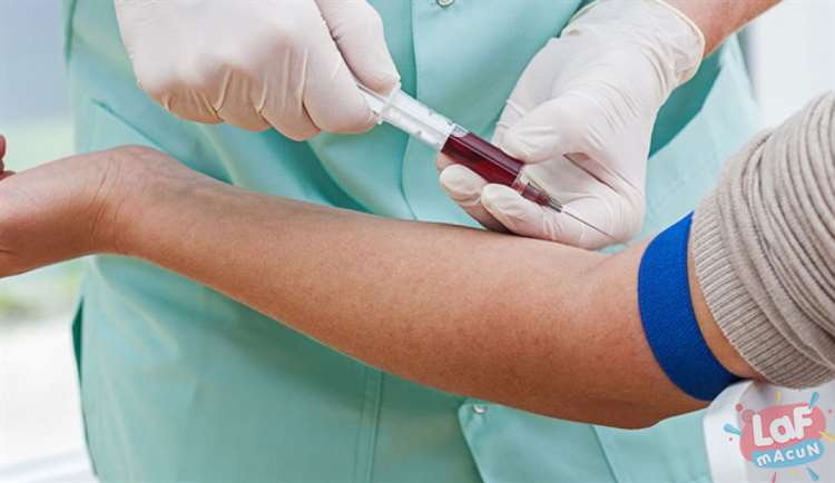 WBC Kan Testini Nasıl Yaptırırım?