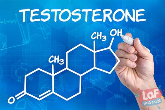 Testosteron düşüklüğü nasıl belirti verir?