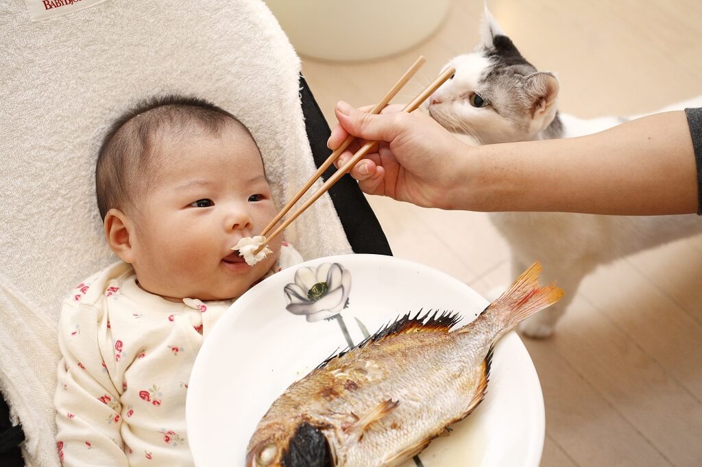 Bebekler Ne Zaman Balık Yiyebilir ve Hangi Balıklar Uygundur?