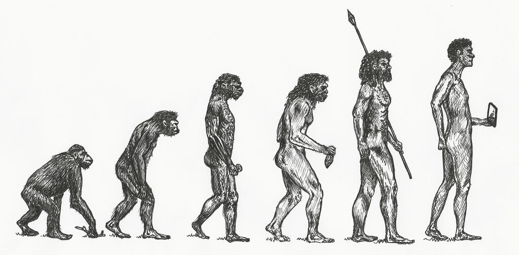 İnsanın Evrimi, İnsan Nasıl Evrimleşti?
