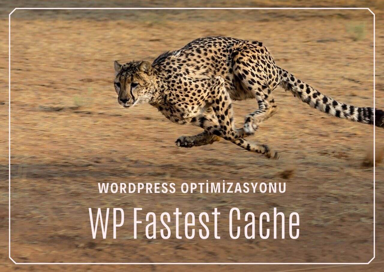 WP Fastest Cache