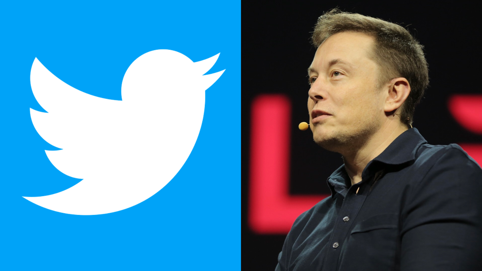 Elon Musk Twitter'a NFT Özelliği Getirdi!