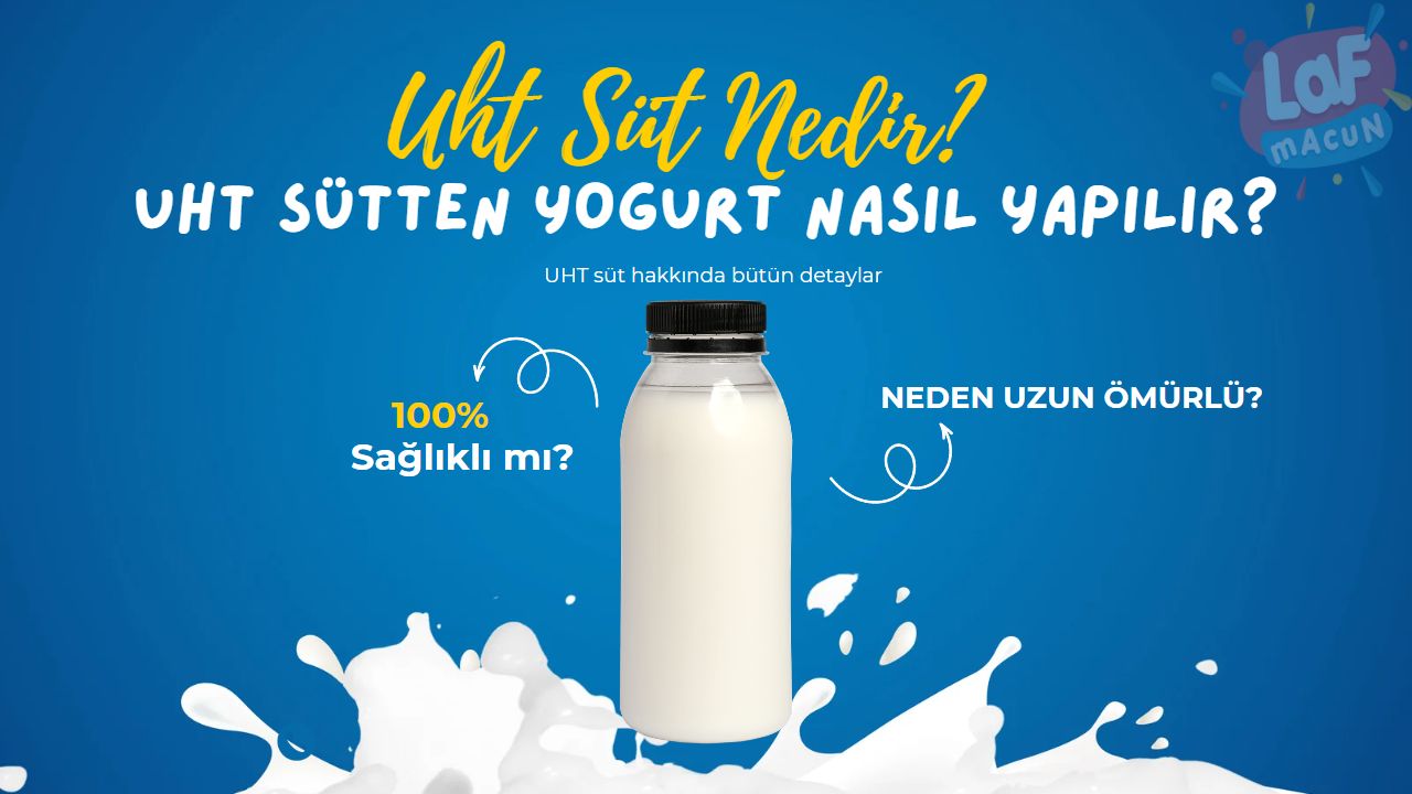 Uht Süt Nedir? Yoğurt Nasıl Yapılır?
