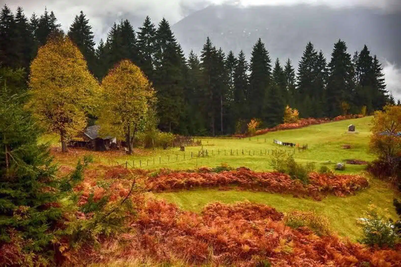 Türkiye’de Yayla Turizmi İçin En Güzel Yerler 11 Kiraz Yaylası