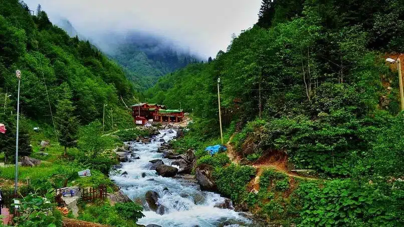 Türkiye’de Yayla Turizmi İçin En Güzel Yerler 2 Ayder Yaylası