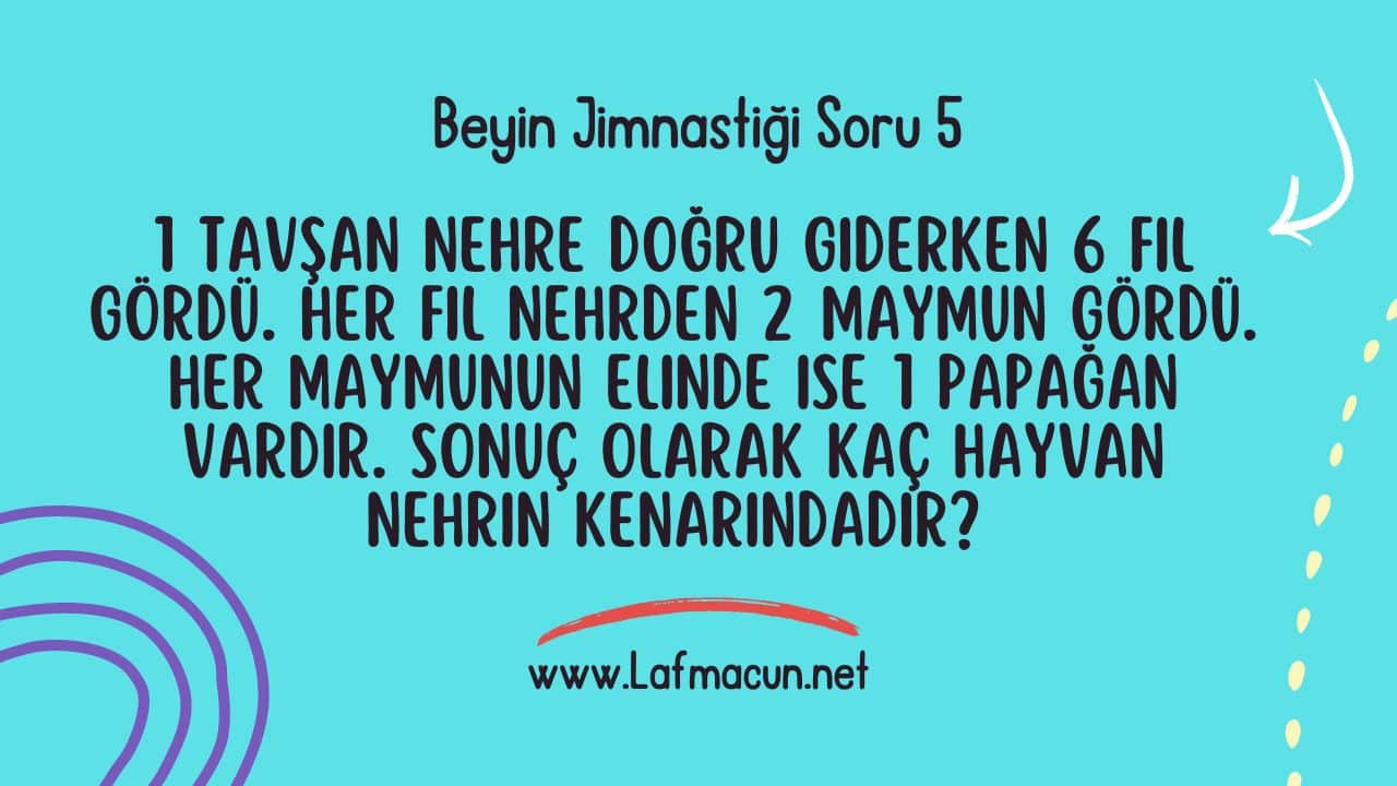 1 tavşan nehre doğru giderken 6 fil gördü. Her fil nehrden 2 maymun gördü. Her maymunun elinde ise 1 papağan vardır. Sonuç olarak kaç hayvan nehrin kenarındadır?