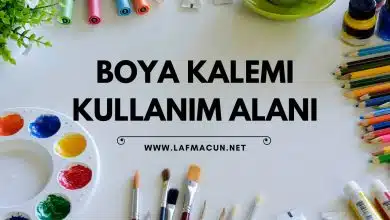 Boya Kalemi Kullanım Alanı
