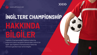 İngiltere Championship Hakkında Bilgiler