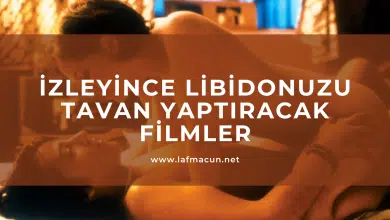 Libidonuzu Tavan Yaptıracak Filmler
