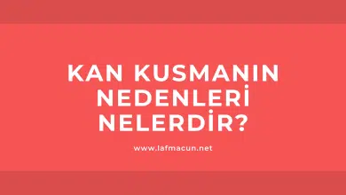 Kan Kusmanın Nedenleri Nelerdir? 1 Kan Kusmanın Nedenleri Nelerdir?