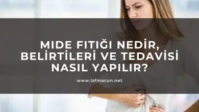 Mide Fıtığı Nedir, Belirtileri ve Tedavisi Nasıl Yapılır? 1 Mide Fıtığı Nedir, Belirtileri ve Tedavisi Nasıl Yapılır?